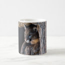 Search for mountain lion mugs Cat
