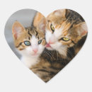 Search for cats heart stickers Funny