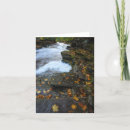 Search for upper peninsula cards Nature