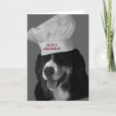 Search for bernese mountain dog birthday cards Party