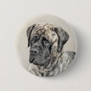 Search for brindle badges Dog
