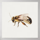 Search for queen bee art Bees
