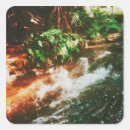 Search for fern stickers Travel