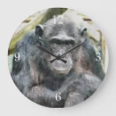 Search for wild apes art Cute