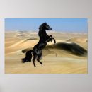 Search for stallion posters Black
