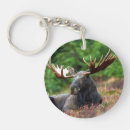 Search for moose key rings Wildlife