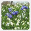 Search for hillside stickers Nature