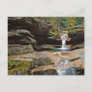 Search for large format postcards Leaf