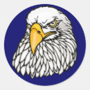 Search for bald eagle stickers Birds