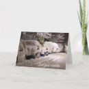 Search for palm tree seasonal cards Funny