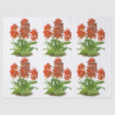 Search for jungle tissue paper Botanical illustration