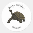 Search for galapagos tortoise stickers Turtle