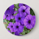 Search for petunia badges Nature
