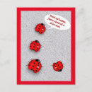 Search for funny bug postcards Humour