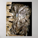 Search for winking art Wildlife