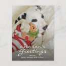 Search for dalmation puppy postcards Humour