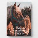 Search for horse plaques Keepsake