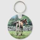 Search for paint ponies key rings Animals