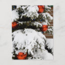 Search for np postcards Travel
