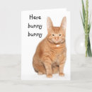 Search for bunny cat easter cards Ears