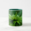Search for weeds mugs Grass