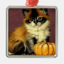 Search for ragdoll cat christmas tree decorations Himalayan