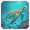 Search for nature animal stickers Marine life