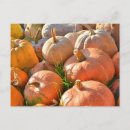 Search for sunnie postcards Sunny