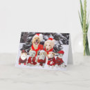 Search for veterinarian christmas cards Dogs