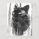Search for panther postcards Jungle
