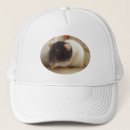 Search for pet rats hats Cute