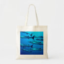 Search for barracuda accessories Underwater