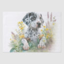 Search for dalmatian tissue paper Puppy