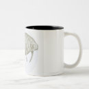 Search for manatee mugs Underwater