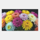 Search for chrysanthemums stickers Flower