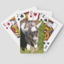 Search for goat playing cards Farms