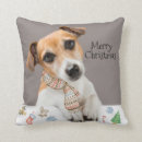 Search for jack russell cushions Pet