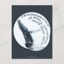 Search for mammal postcards Humpback whale