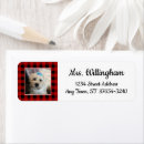 Search for family with cat return address labels Dog