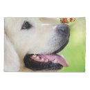 Search for labrador pillowcases Dog