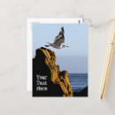 Search for seagulls cards invites Sunset