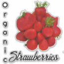 Search for fresh strawberries stickers Organic