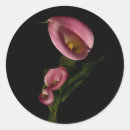Search for lilly stickers Nature