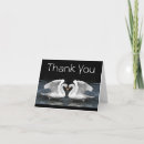 Search for mute cards Swan