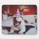 Search for getty electronics Bulldogs