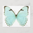 Search for pretty girly postcards Animal