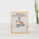 Search for dog sleeping cards Cute