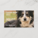 Search for shepherd business cards Pets