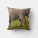 Search for conservation cushions Africa