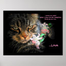 Search for long hair cats posters Pets